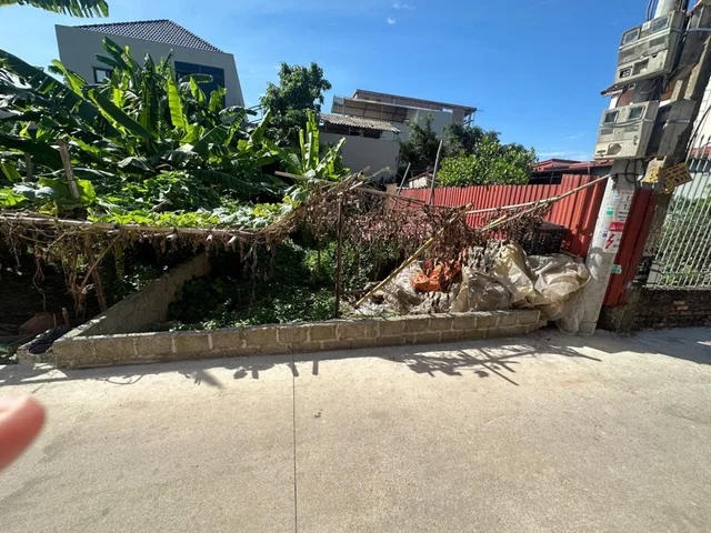 Bất động sản tại Hưng Yên - ảnh 1