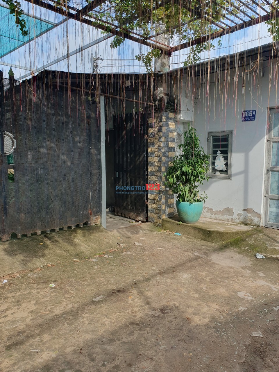 Bất động sản tại Cần Thơ - ảnh 1