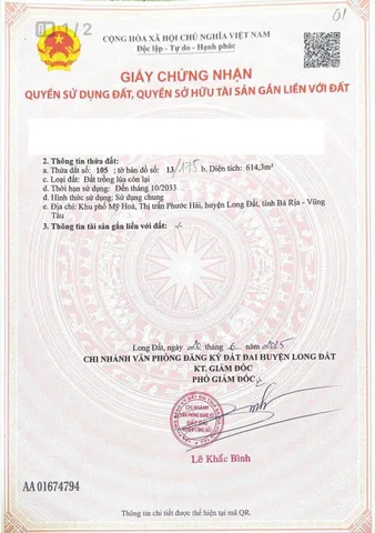 Bất động sản tại Bà Rịa - Vũng Tàu - ảnh 1