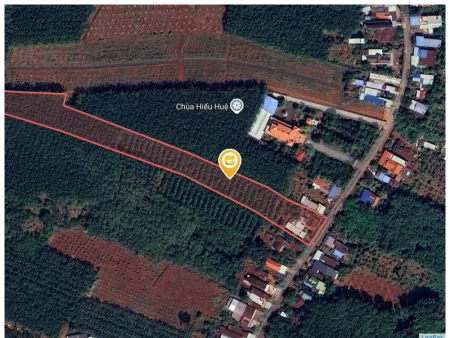 Bất động sản tại Bình Phước - ảnh 1