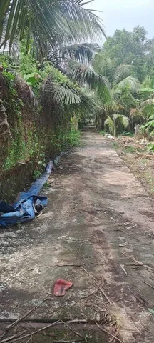 Bất động sản tại Đồng Tháp - ảnh 1