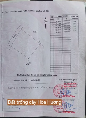 Bất động sản tại Đà Nẵng - ảnh 1