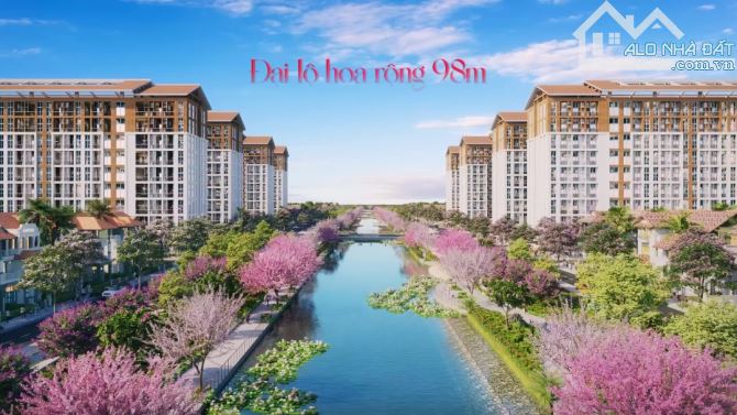 Bất động sản tại Điện Biên - ảnh 1