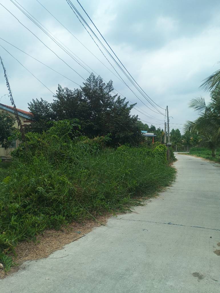 Bất động sản tại Long An - ảnh 1