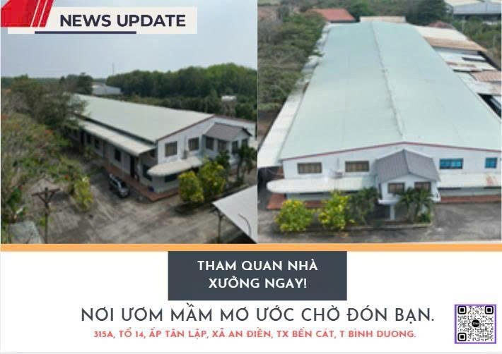 Bất động sản tại Bình Dương - ảnh 1