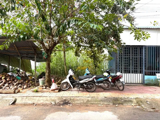 Bất động sản tại Cần Thơ - ảnh 1