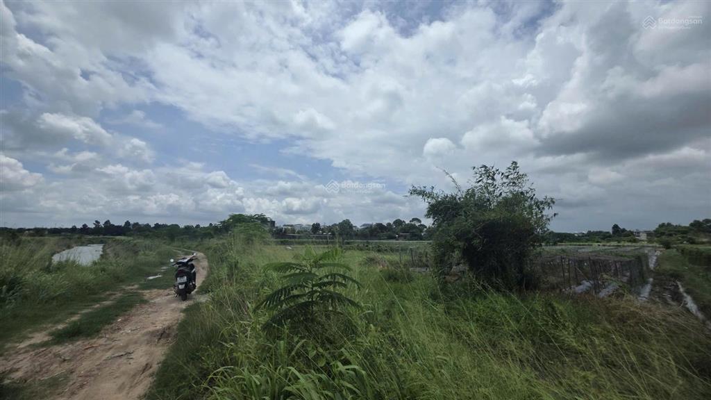 Bất động sản tại Bình Dương - ảnh 1