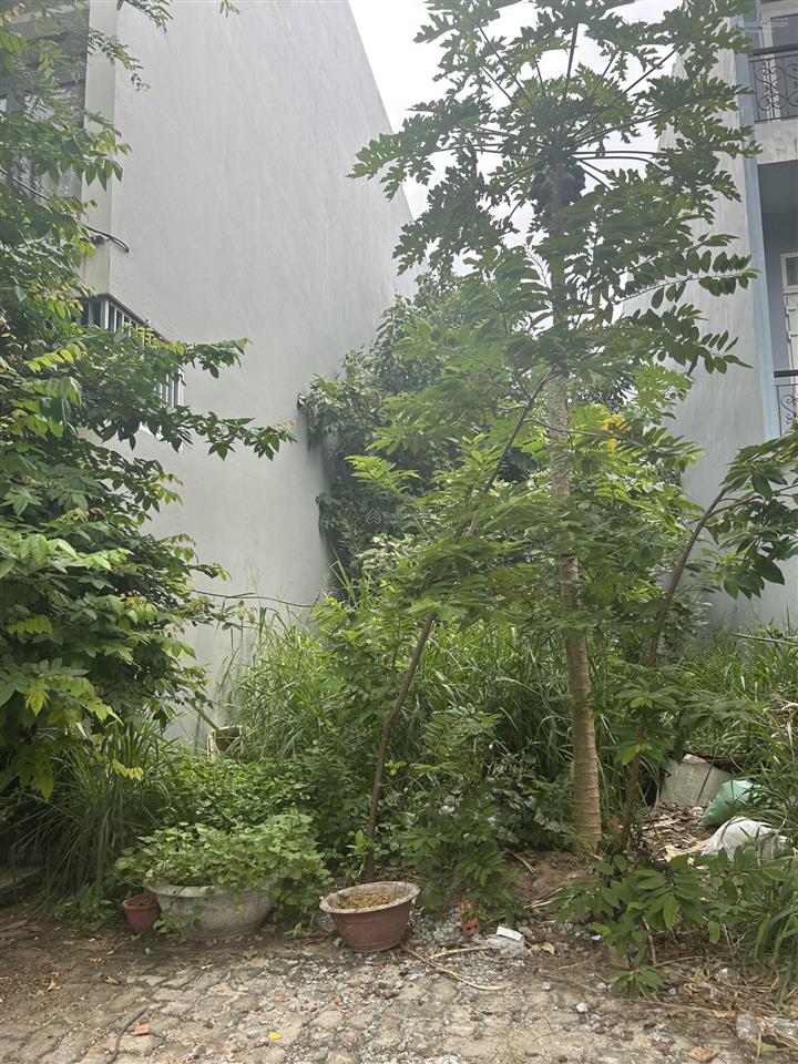 Bất động sản tại Đà Nẵng - ảnh 1