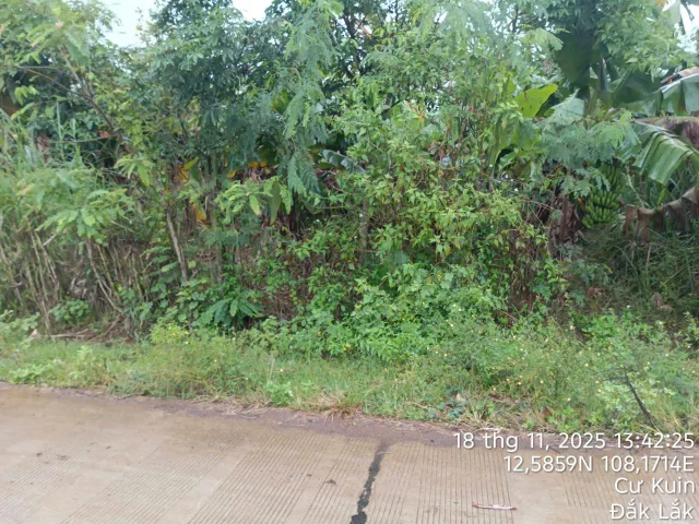 Bất động sản tại Đắk Lắk - ảnh 1