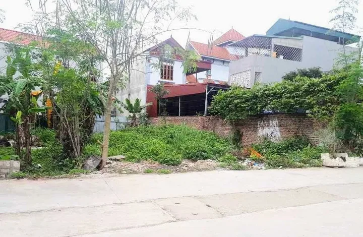 Bất động sản tại Phú Thọ - ảnh 1