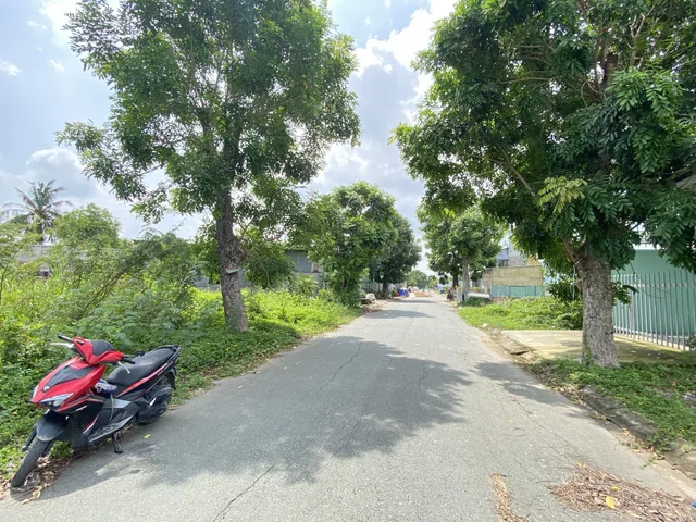 Bất động sản tại Long An - ảnh 1