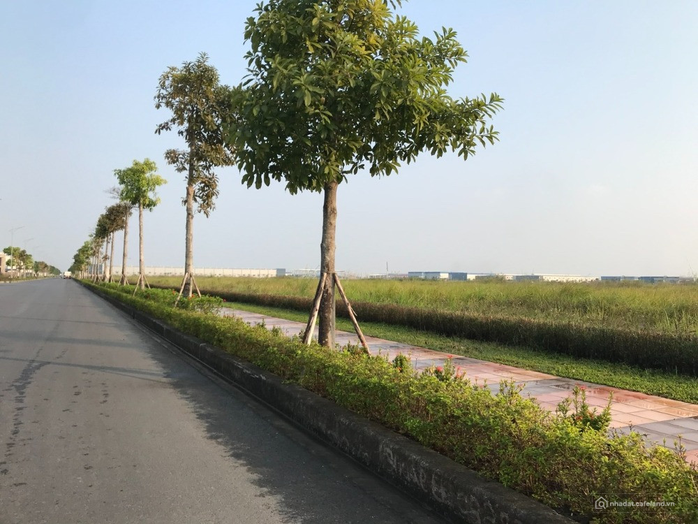 Bất động sản tại Bắc Ninh - ảnh 1