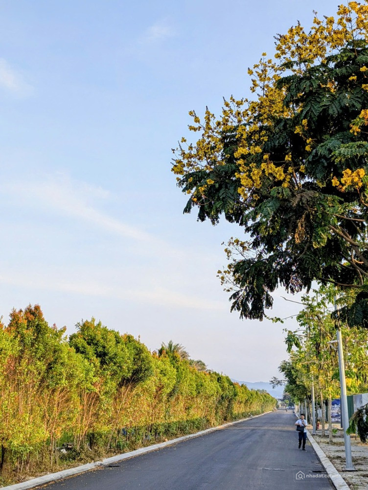 Bất động sản tại Gia Lai - ảnh 1