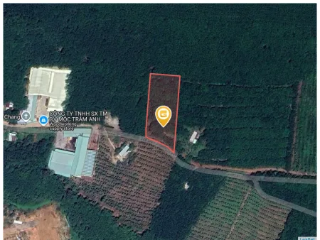 Bất động sản tại Bình Dương - ảnh 1