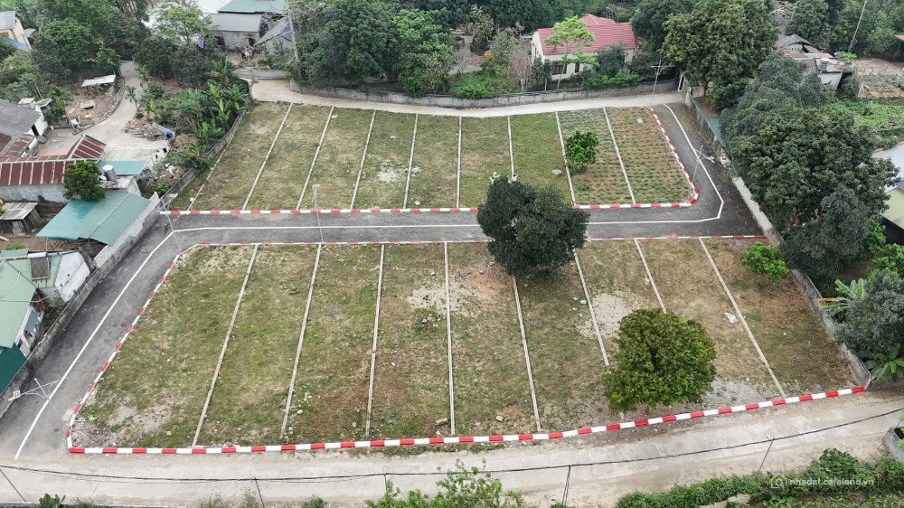 Bất động sản tại Phú Thọ - ảnh 1