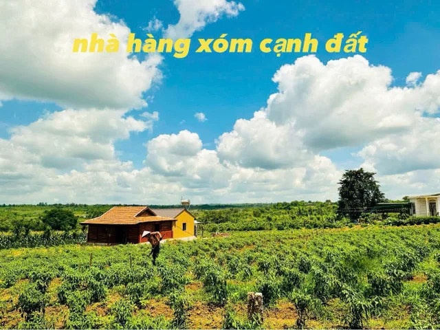 Bất động sản tại Đắk Lắk - ảnh 1
