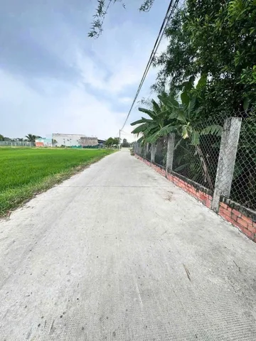 Bất động sản tại Long An - ảnh 1