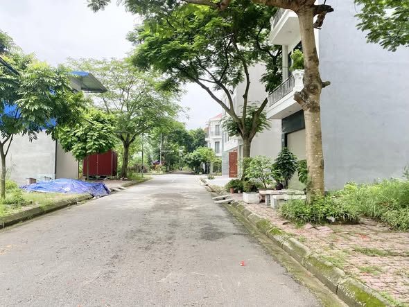 Bất động sản tại Hải Phòng - ảnh 1