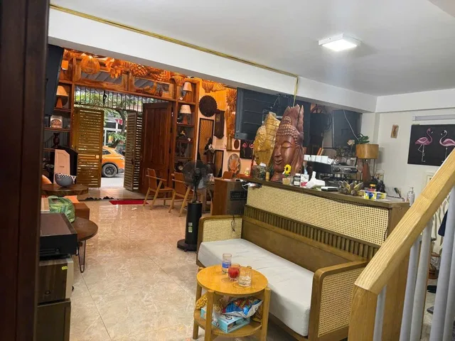 Bất động sản tại Đà Nẵng - ảnh 1