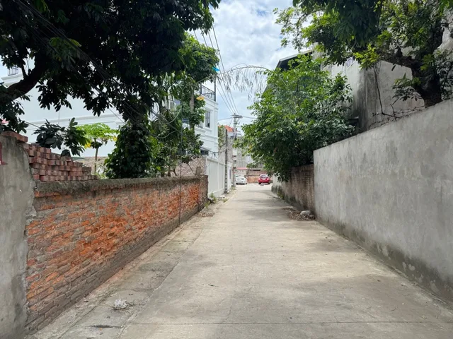 Bất động sản tại Hưng Yên - ảnh 1