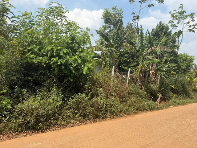 Bất động sản tại Đắk Lắk - ảnh 1