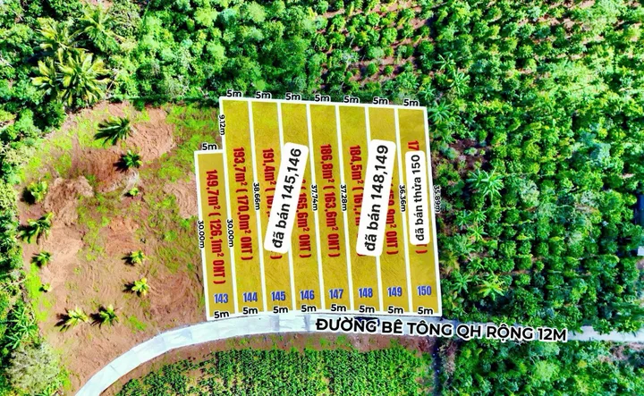 Bất động sản tại Đắk Lắk - ảnh 1