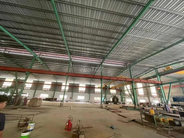 Bất động sản tại Bình Dương - ảnh 1