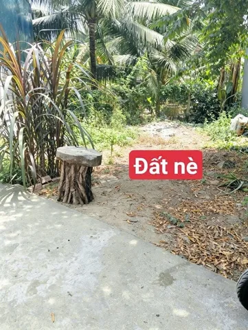 Bất động sản tại Khánh Hòa - ảnh 1