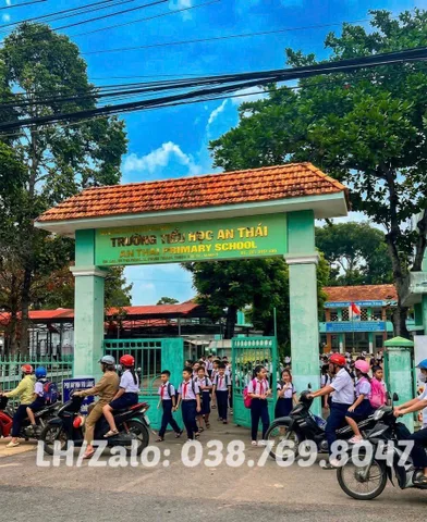 Bất động sản tại Bình Dương - ảnh 1