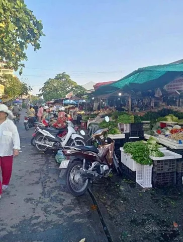 Bất động sản tại Đồng Nai - ảnh 1