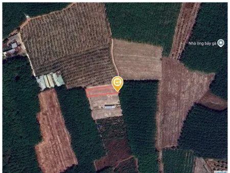 Bất động sản tại Bình Dương - ảnh 1