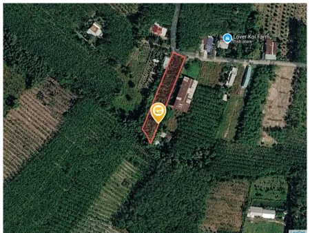 Bất động sản tại Bình Dương - ảnh 1