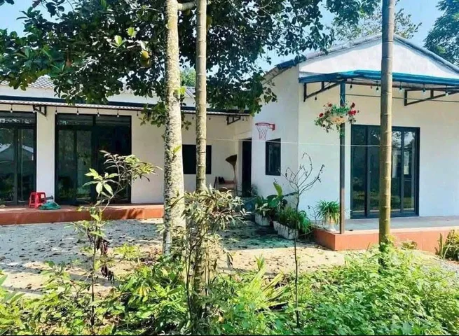 Bất động sản tại Bình Dương - ảnh 1