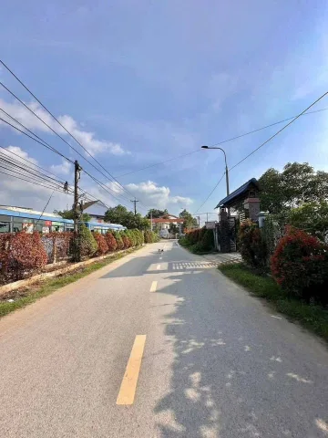 Bất động sản tại Bình Dương - ảnh 1