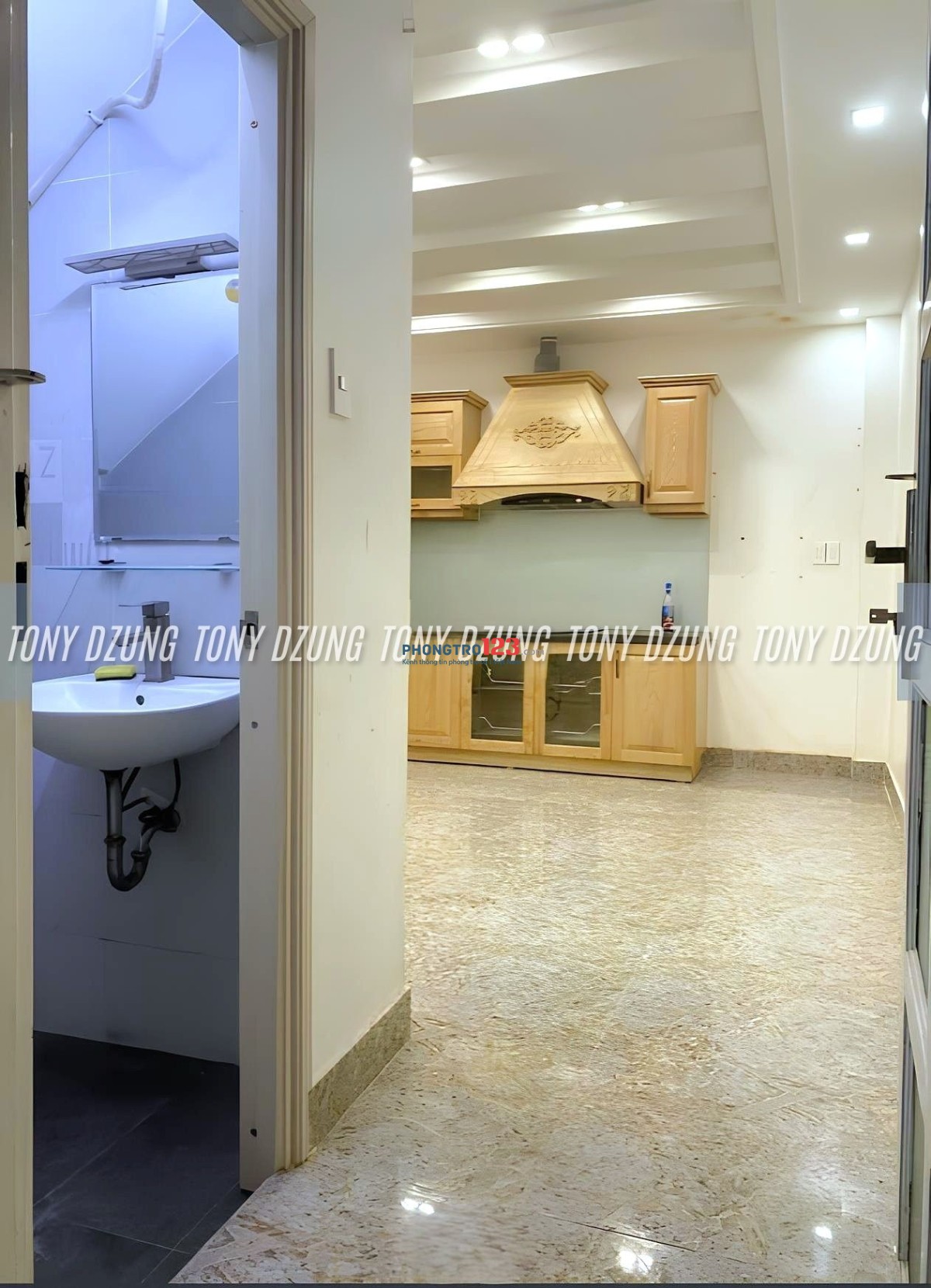 Bất động sản tại TP. Hồ Chí Minh - ảnh 1