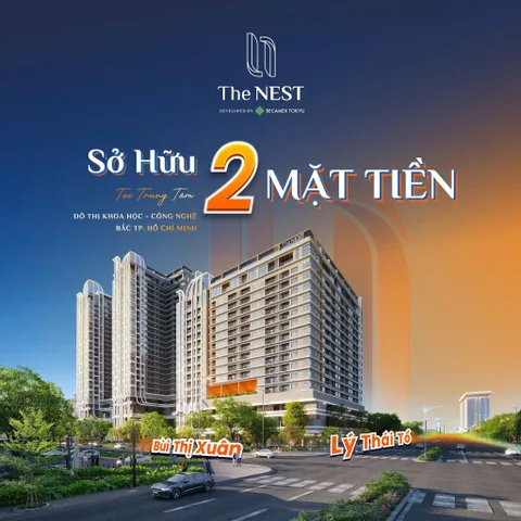 Bất động sản tại Bình Dương - ảnh 1