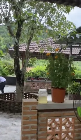 Bất động sản tại Khánh Hòa - ảnh 1