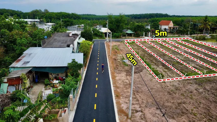 Bất động sản tại Bình Dương - ảnh 1