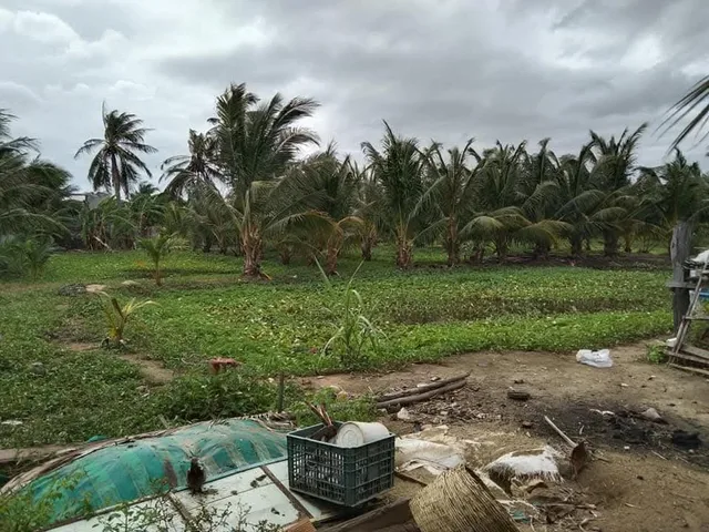 Bất động sản tại Khánh Hòa - ảnh 1