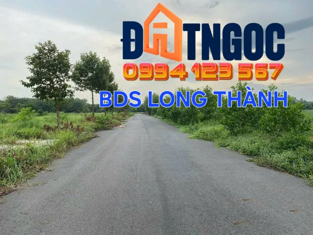 Bất động sản tại Đồng Nai - ảnh 1
