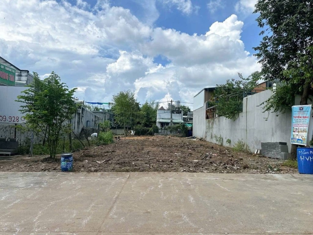 Bất động sản tại Bình Dương - ảnh 1