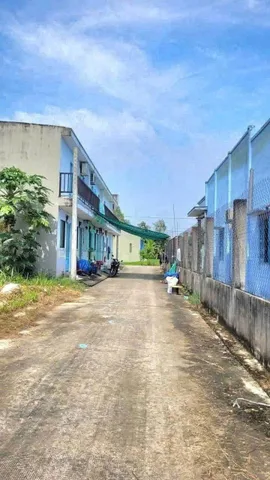 Bất động sản tại Long An - ảnh 1
