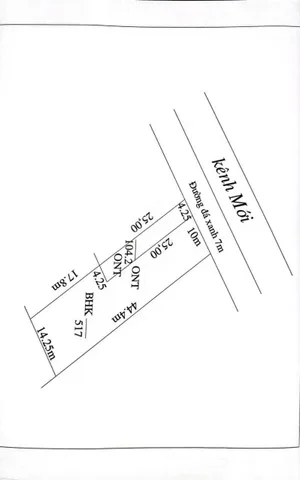 Bất động sản tại Long An - ảnh 1