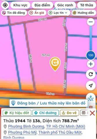 Bất động sản tại Bình Dương - ảnh 1