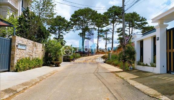 Bất động sản tại Lâm Đồng - ảnh 1