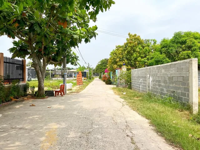 Bất động sản tại Long An - ảnh 1