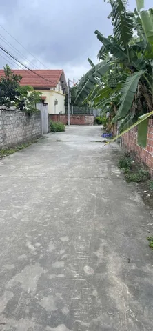 Bất động sản tại Hải Phòng - ảnh 1
