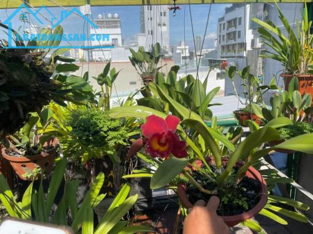 Bất động sản tại Đà Nẵng - ảnh 1