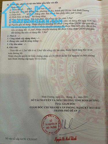 Bất động sản tại Bình Dương - ảnh 1