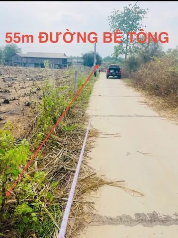 Bất động sản tại Đắk Lắk - ảnh 1